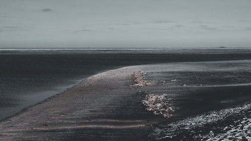 Exposed – The Wadden Sea in winter