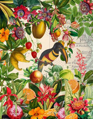 Toucan in exotic fruits and flowers jungle