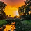 Golden hour van Tessa Dommerholt