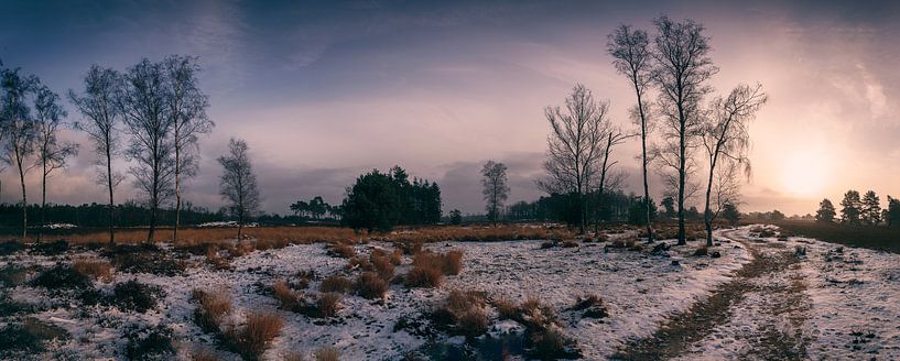 Kampina von Boris Van Berkel