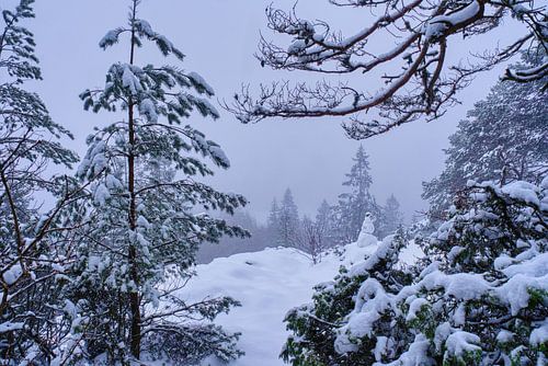 Snowman at a lookout point
