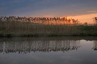 Sunrise Valley Canal