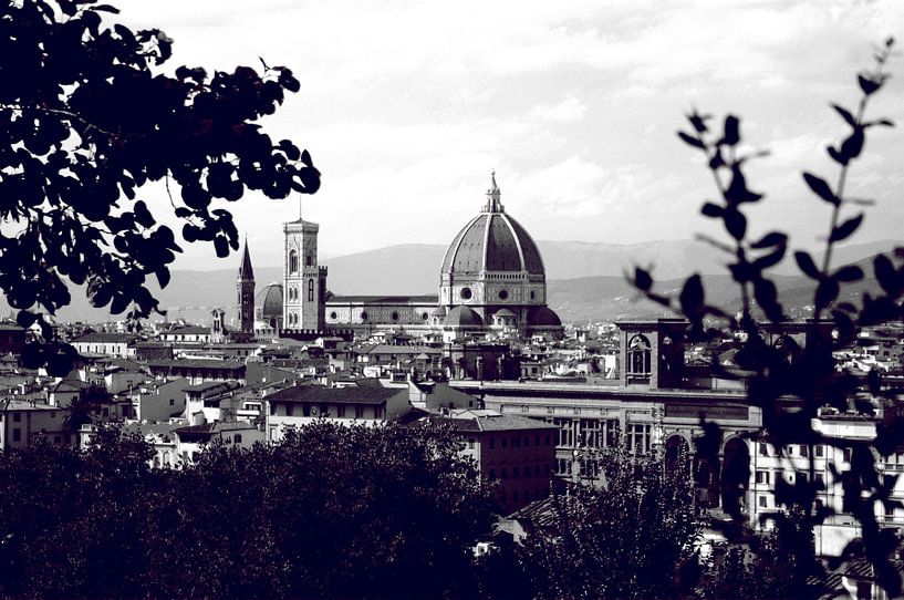 Florenz von Jessica van den Heuvel