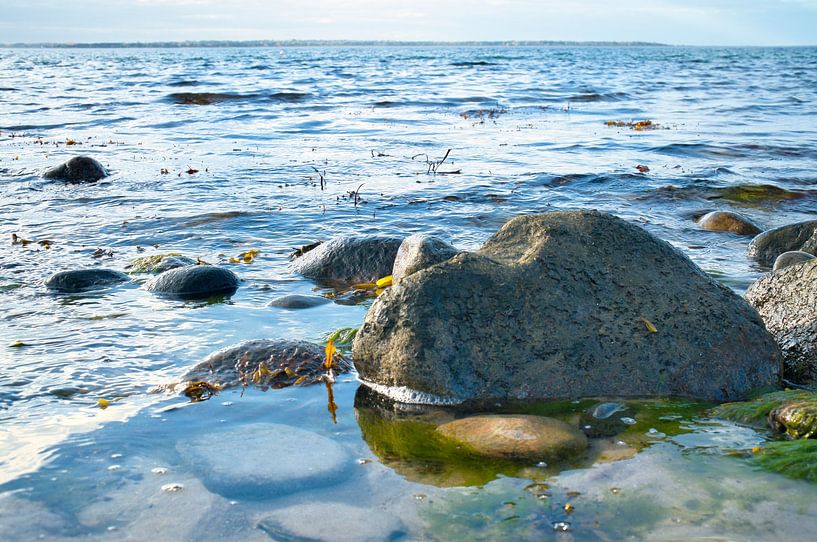 Steinestrand in Dänemark am Meer von Martin Köbsch