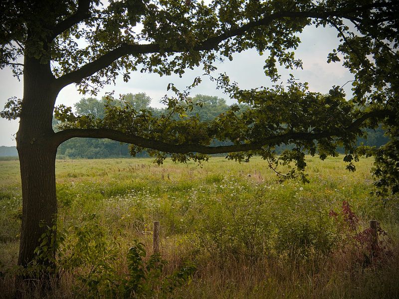 Polder von Monique Verlouw