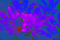 Bloemen in blauw en rose van Ina Hölzel thumbnail