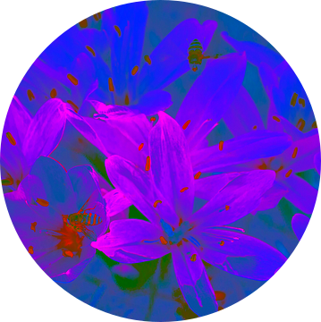 Bloemen in blauw en rose van Ina Hölzel