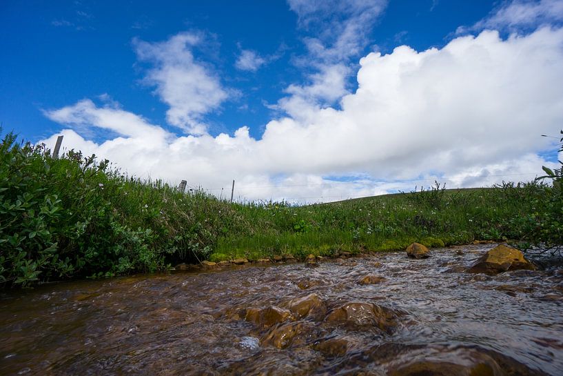 Iceland - Crystal clear water in a river between natural green landscape by adventure-photos