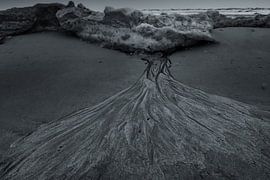 Melt Line