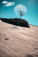 Moonway