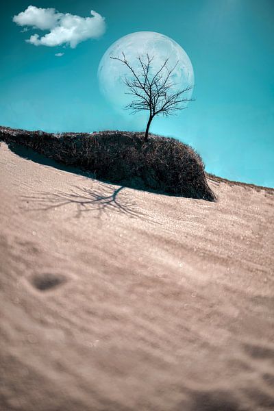 Moonway van thePhilograph