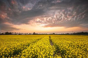 Drehender Himmel