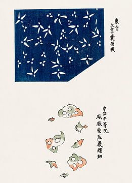 Japanse vintage kunst ukiyo-e. Blauwe Woodblock print door Tagauchi Tomoki. van Dina Dankers