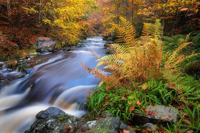 La Hoegne von Martijn Schruijer