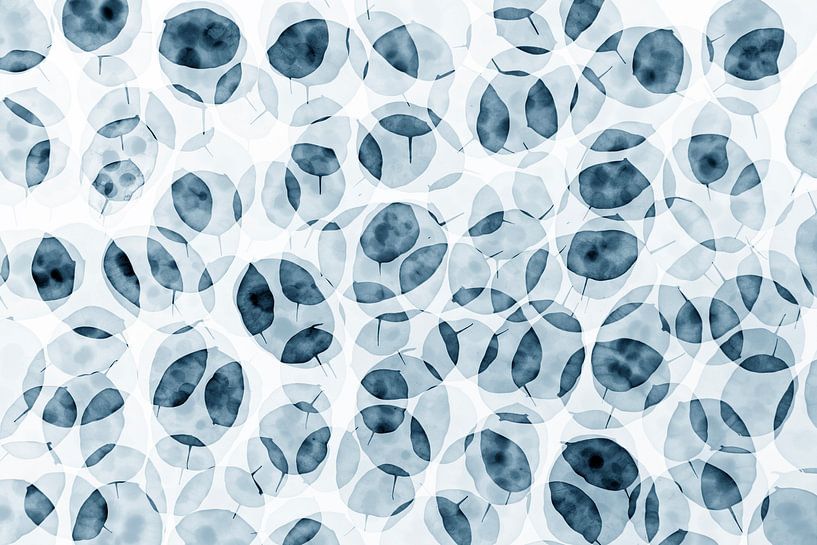 Natural pattern with seeds of judas pennywort by Elles Rijsdijk