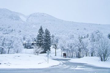 Noors hooggebergte, besneeuwde bergen en landschap van Martin Köbsch