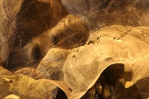 Dog face on smooth grotto wall.