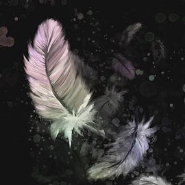 Artwork - black background with coloured down feathers by Emiel de Lange