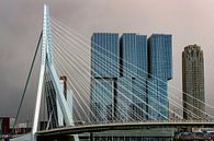 Erasmus-Brücke von Mark Regelink Miniaturansicht
