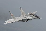 Slowaakse MIG 29 UB air-to-air gefotografeerd. van Jaap van den Berg thumbnail