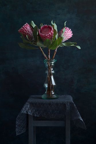 Protea Trio - modern still life