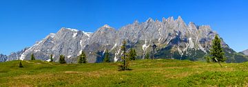 Spring panorama on the Hochkönig by Christa Kramer