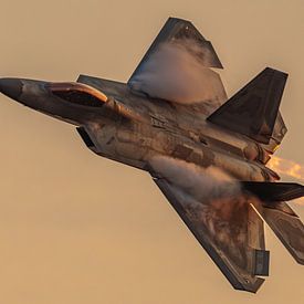 U.S. Air Force Lockheed Martin F-22 Raptor. van Jaap van den Berg