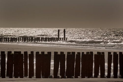 Strandpalen aan de Zeeuwse kust
