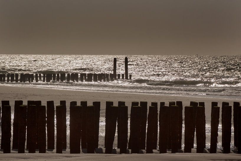 Strandpalen aan de Zeeuwse kust van Alfred Meester