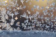 Frost in a window by Claude Laprise thumbnail