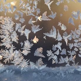 Frost in a window by Claude Laprise
