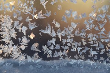 Frost in a window by Claude Laprise
