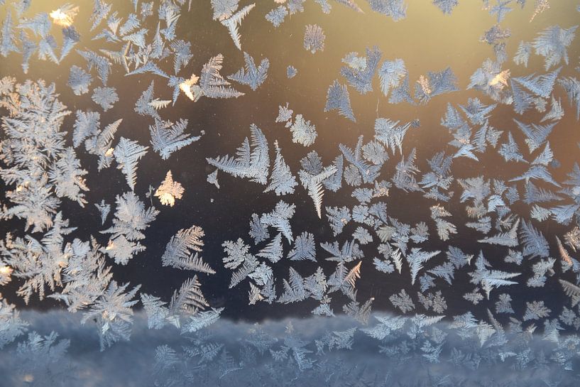 Frost in a window by Claude Laprise