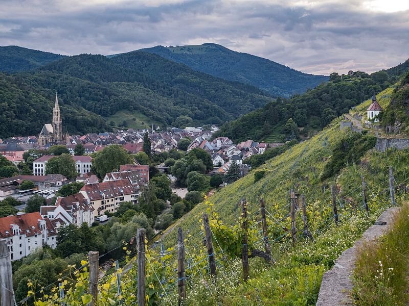 The village of Thann in Alsace, on the edge of the Vosges mountains by Martijn Joosse