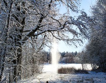 Winter Impressie van Annette Swart