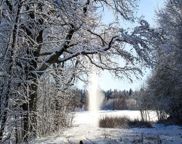 Winter Impression von Annette Swart
