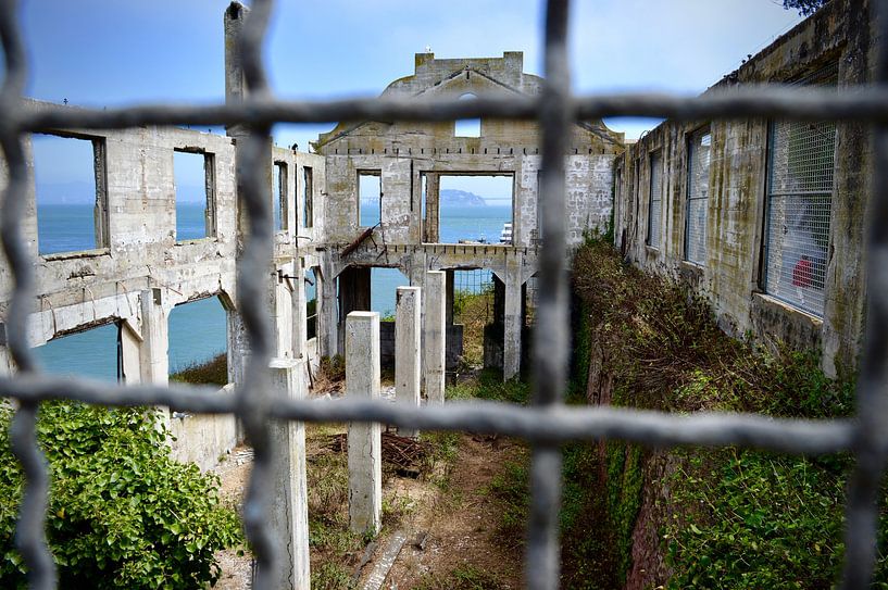 Alcatraz by Leonie Pereboom