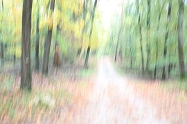 Waldweg, fotografiert mit ICM