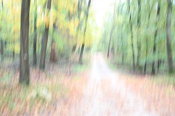 Waldweg, fotografiert mit ICM