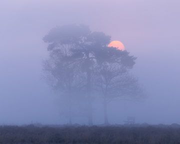 misty sunrise by Kevin Hernandez