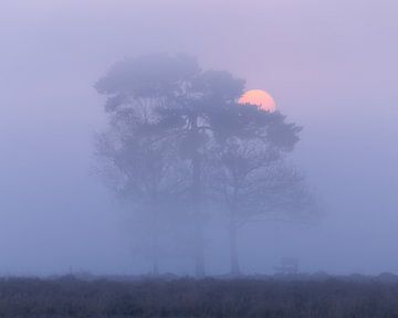 nebliger Sonnenaufgang von Kevin Hernandez