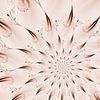 Flower Star Discreet van Claudia Gründler
