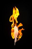 Fire and Flame #5