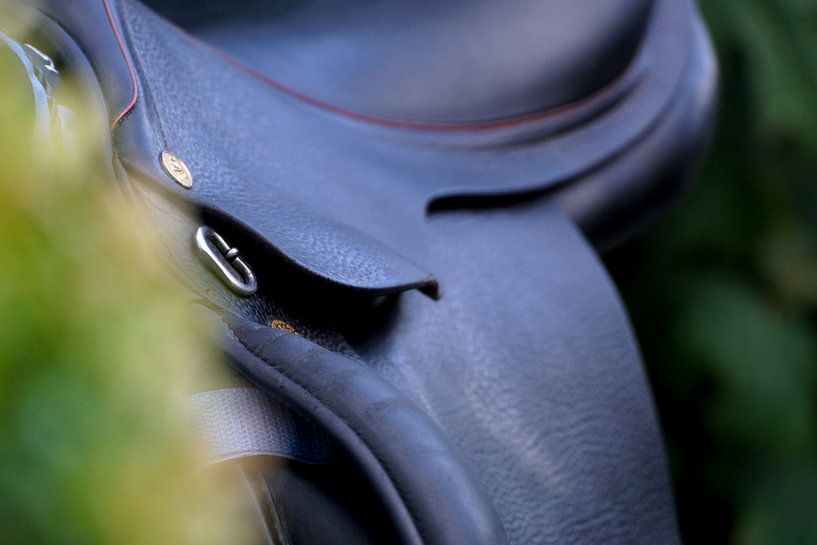 Zadel by Marleen van den Boom