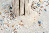 Shells on beach near beach post. by Ron van der Stappen thumbnail
