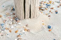 Schelpen op strand bij strandpaal.