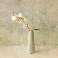 Less is more. Minimalism. Judas pine in beige.