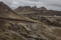 bemoste lavavelden landmannalaugar