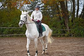 Training with the white horse on a riding arena in autumn