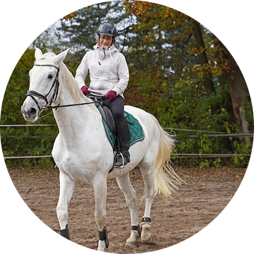 Training met het witte paard op een rijbak in de herfst van Babetts Bildergalerie